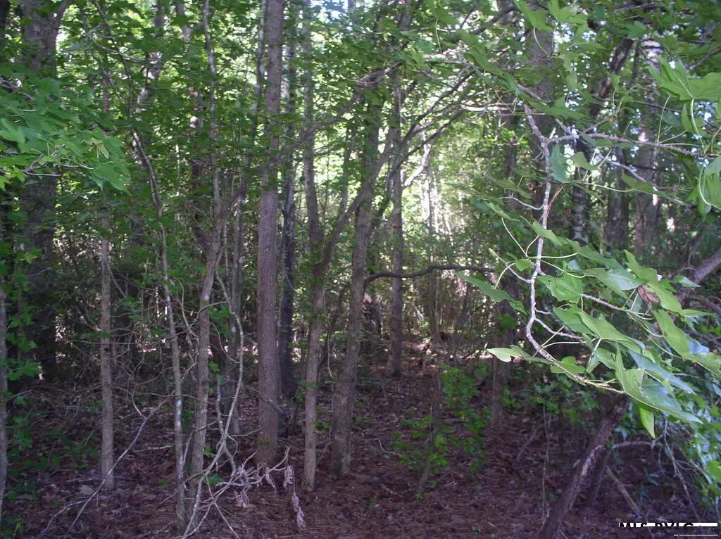 Picture 16