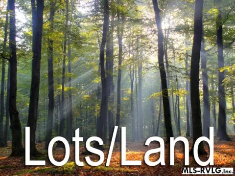 Wooded Streamside Land
