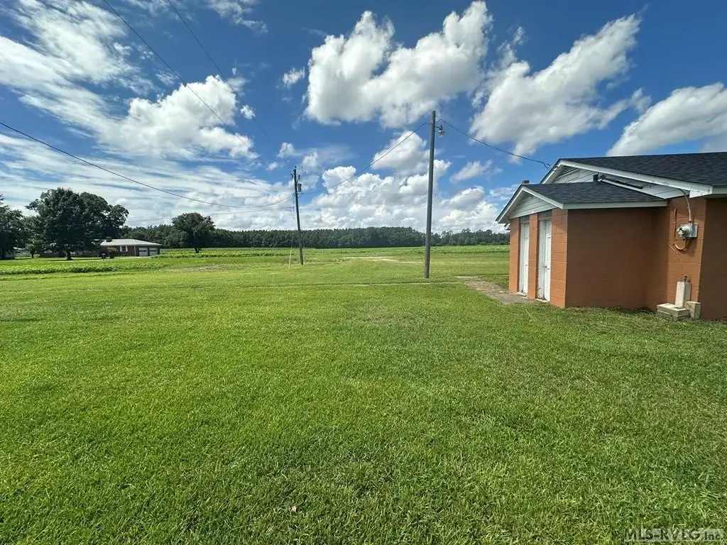 Picture 13