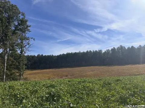 Hunting Land with Internal Roads