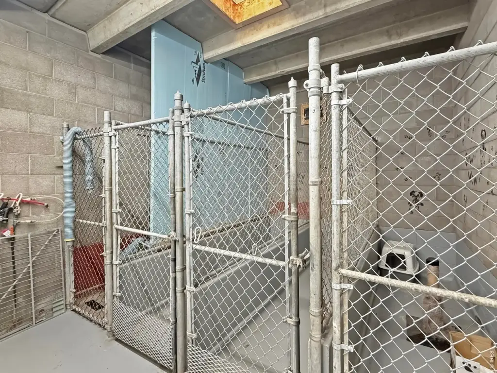 Picture 23