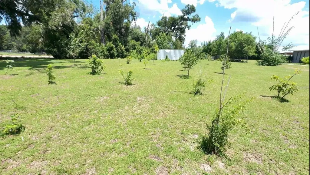 Picture 4