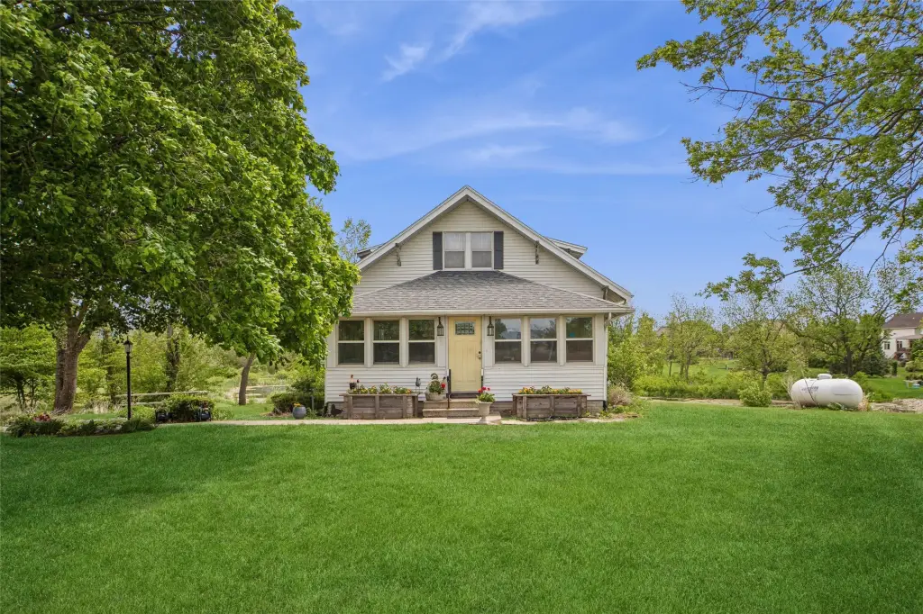 Picture 8