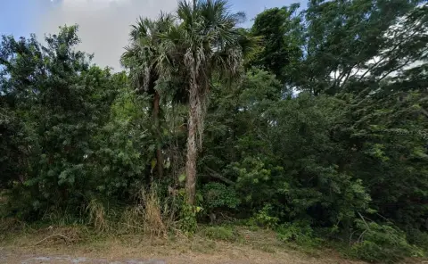 Port Charlotte Corner Lot Opportunity