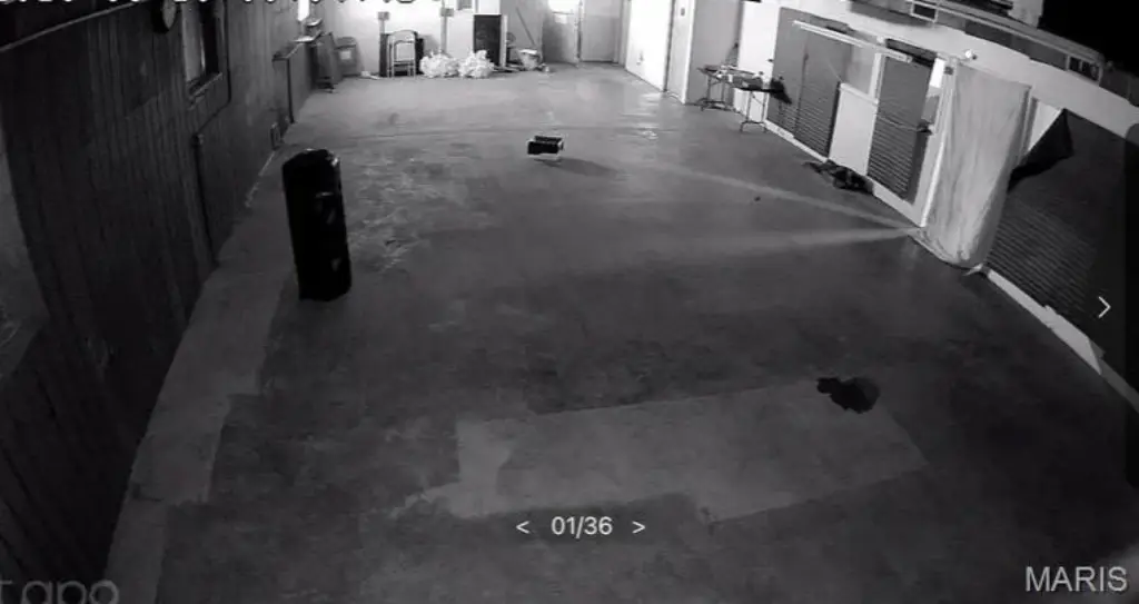 Picture 4