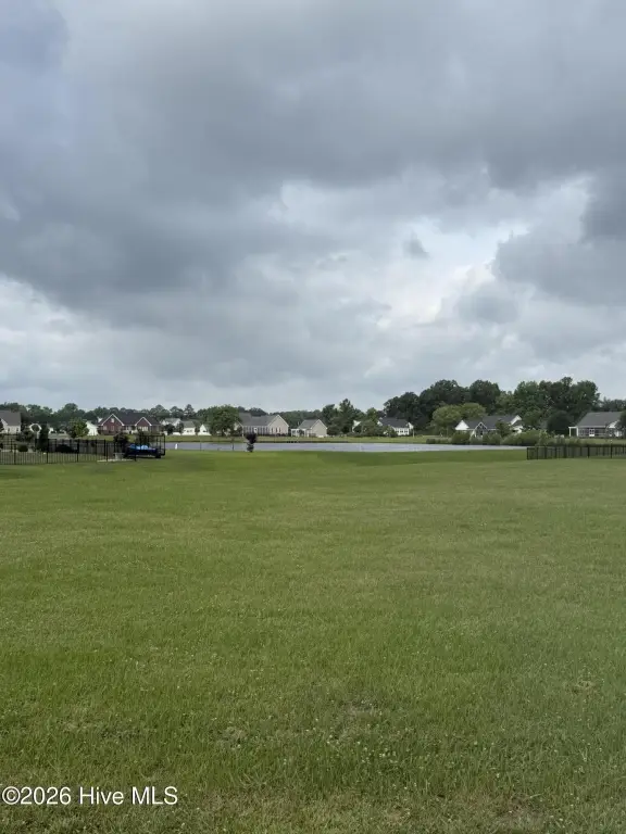Picture 15