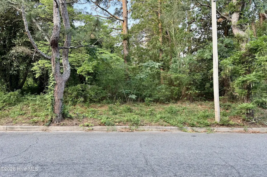 Picture 4