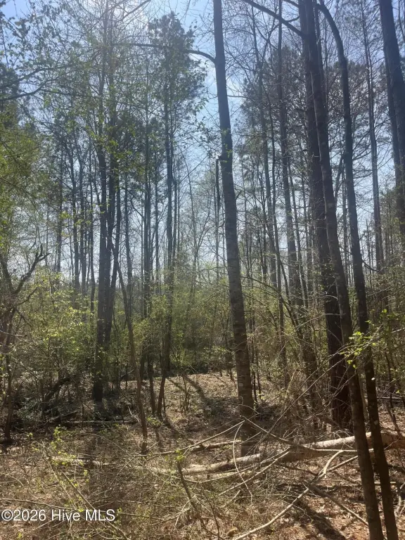 Picture 3