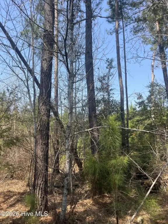 Picture 11