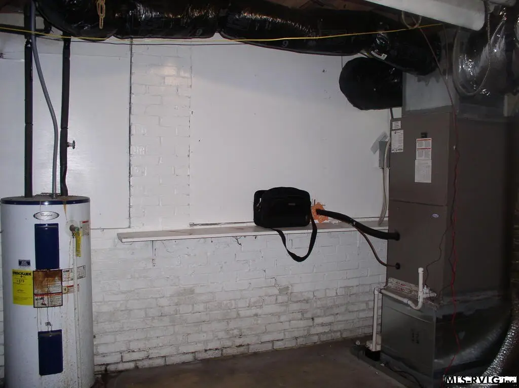 Picture 41