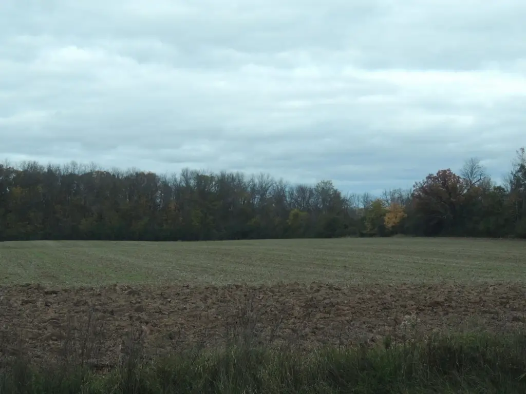 Picture 25