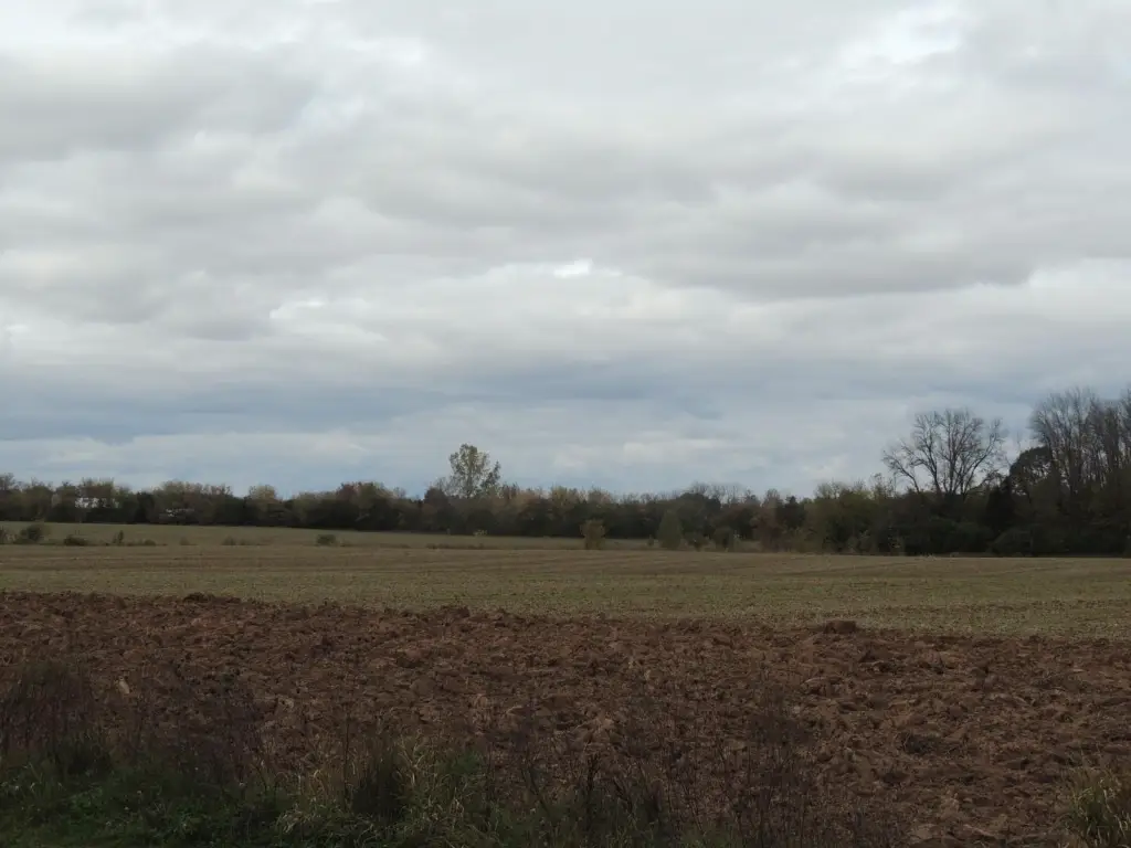 Picture 26