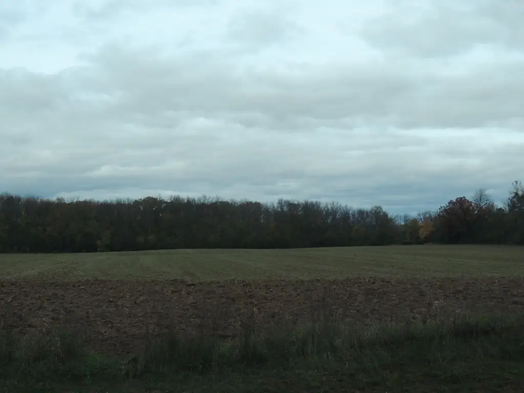 Picture 24