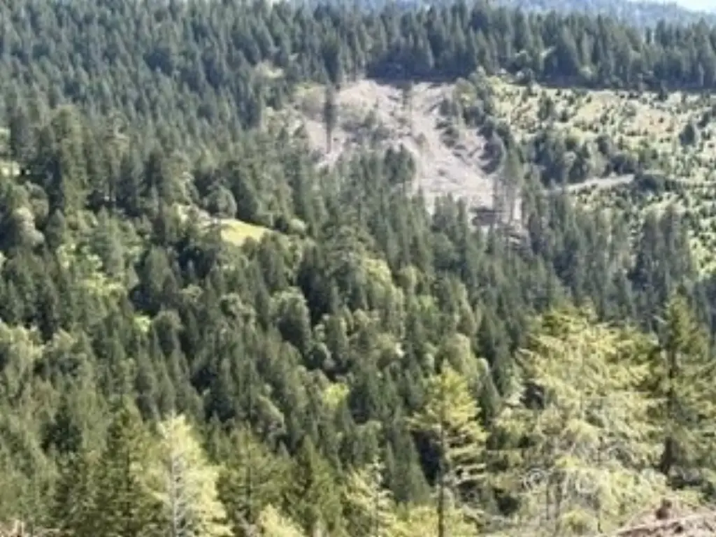 Picture 2