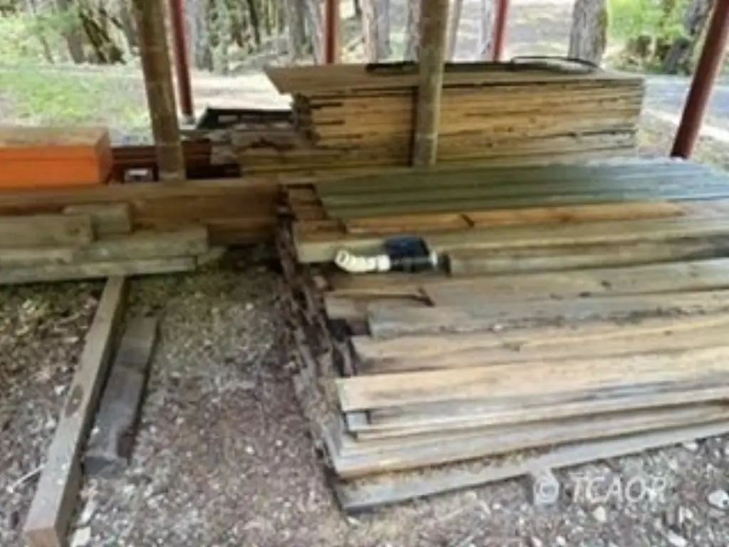 Picture 21