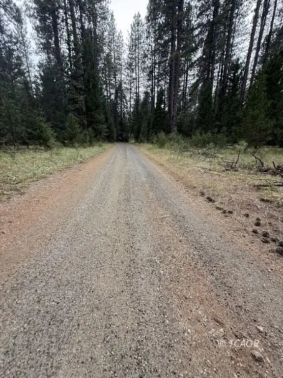 Picture 14
