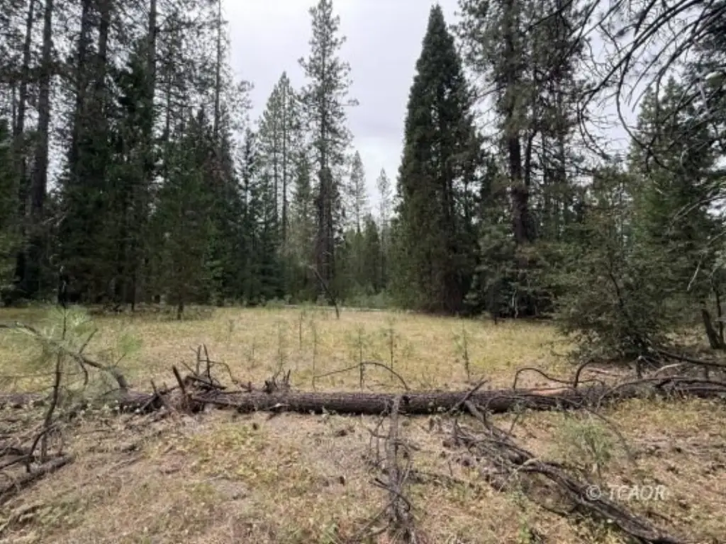 Picture 13