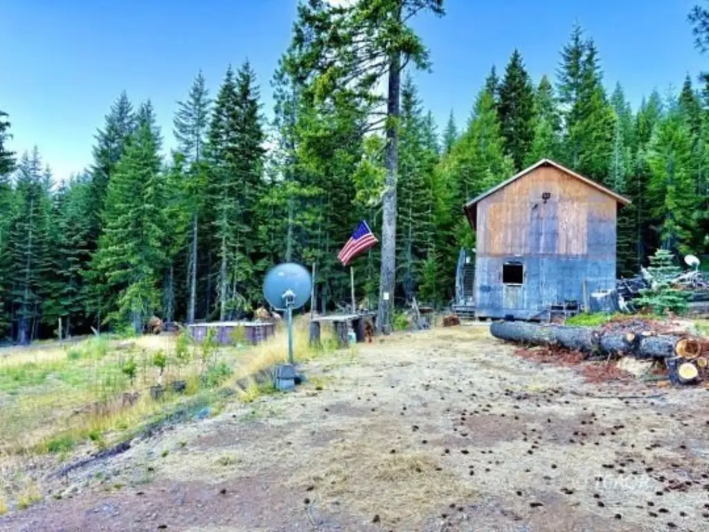 Picture 3