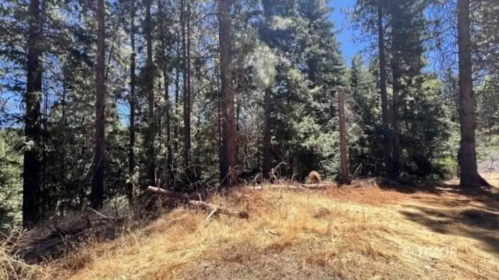 Picture 24