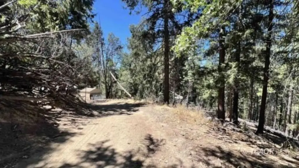 Picture 20
