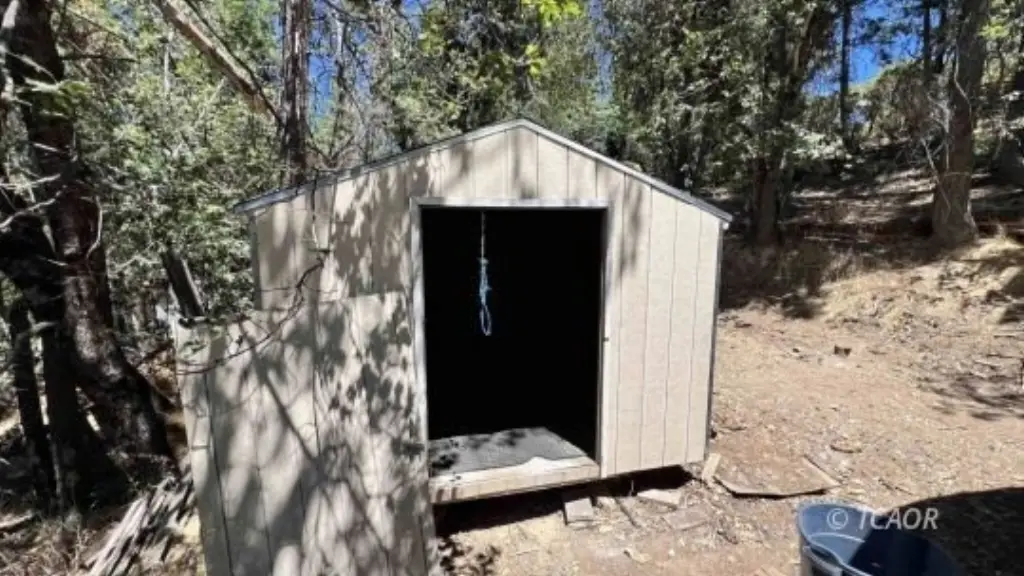 Picture 19