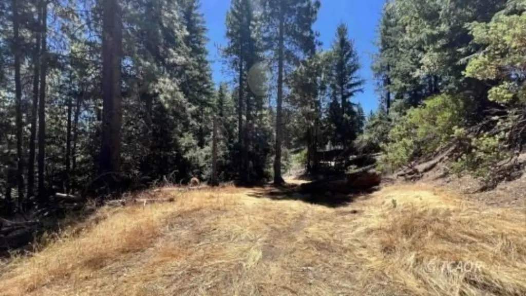 Picture 22