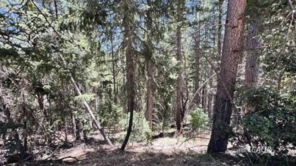 Picture 25