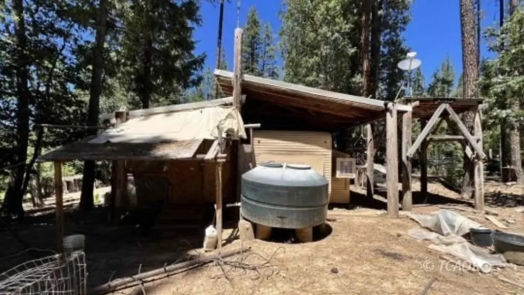 Picture 23