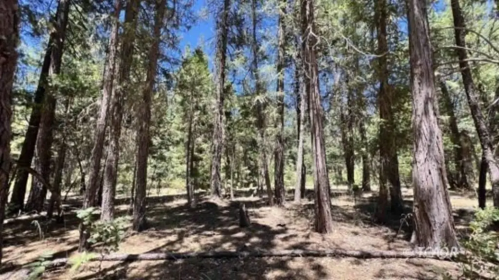 Picture 30