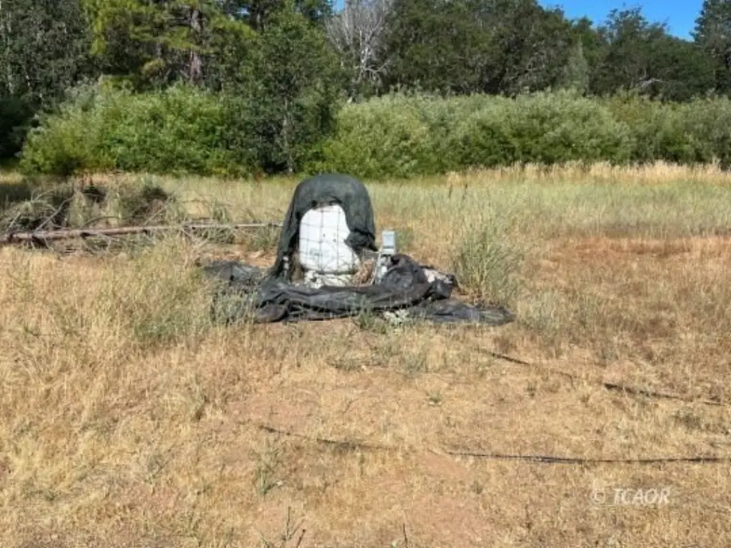 Picture 36