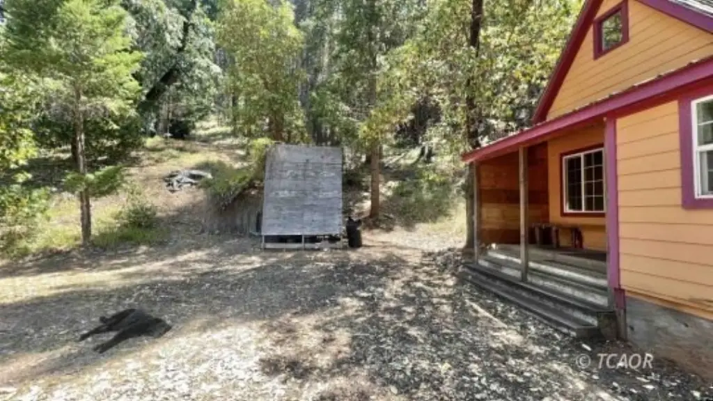 Picture 13