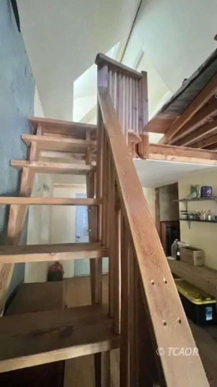 Picture 8