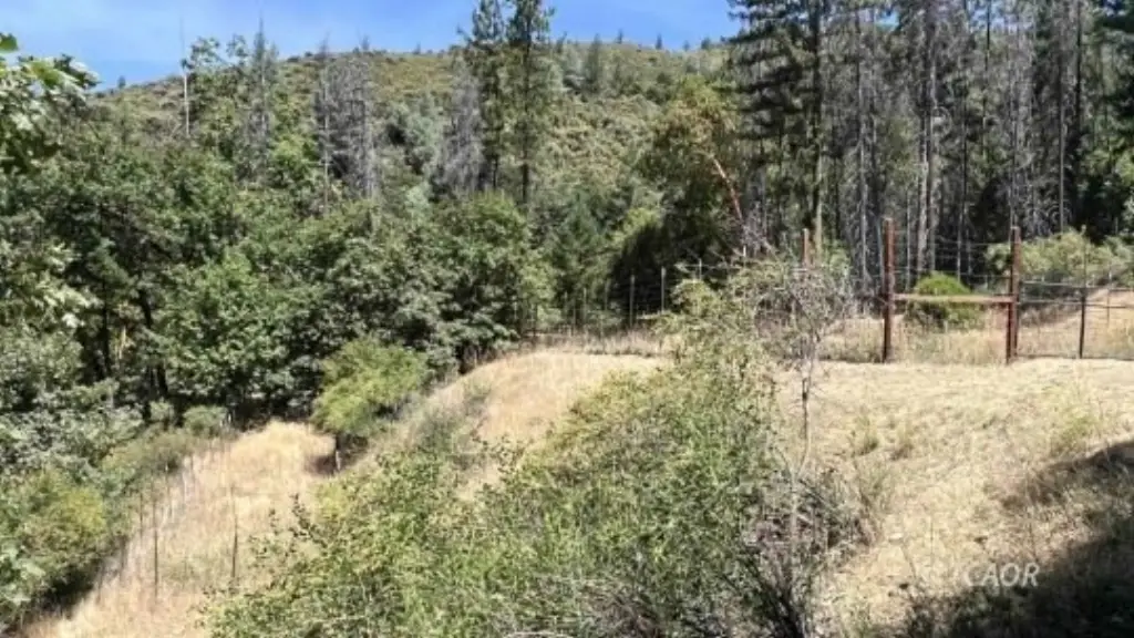 Picture 25