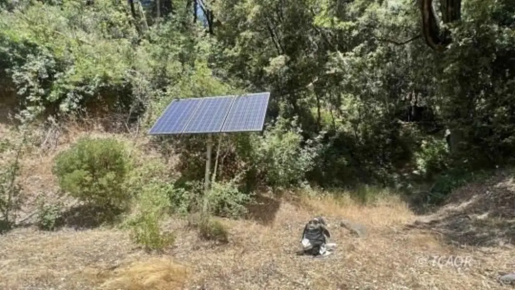 Picture 30