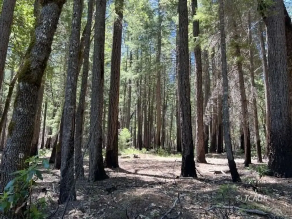 Picture 24