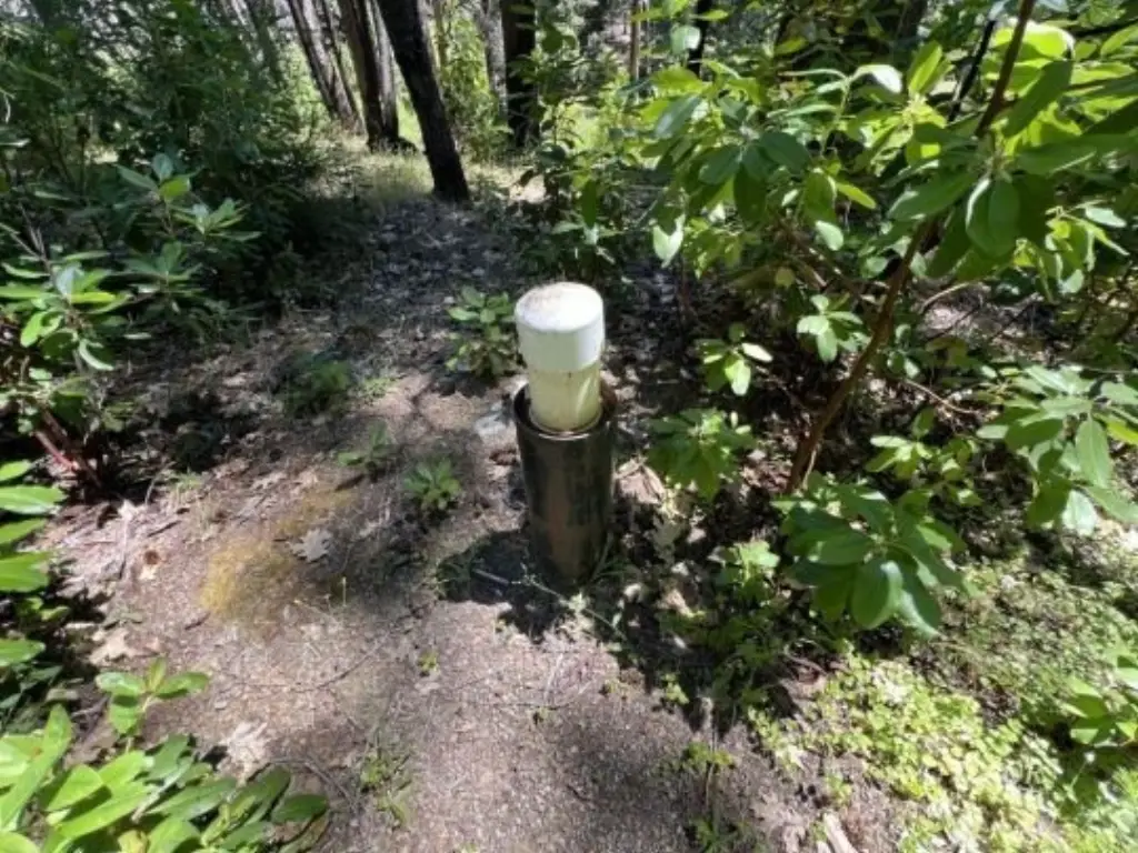 Picture 16