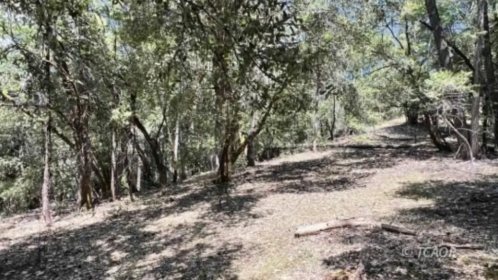 Picture 14