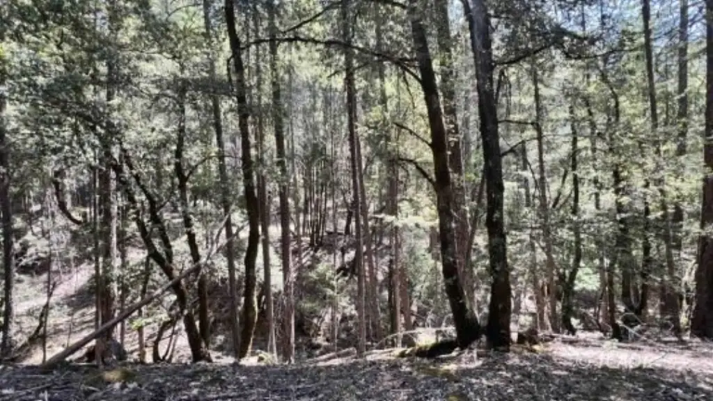 Picture 19