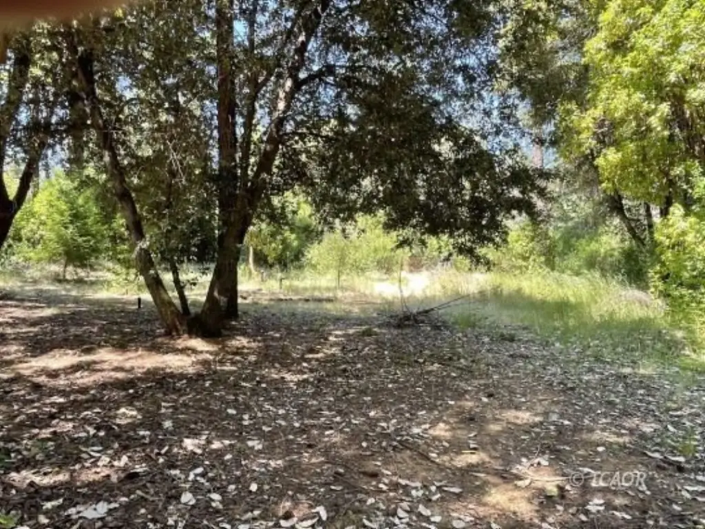 Picture 24
