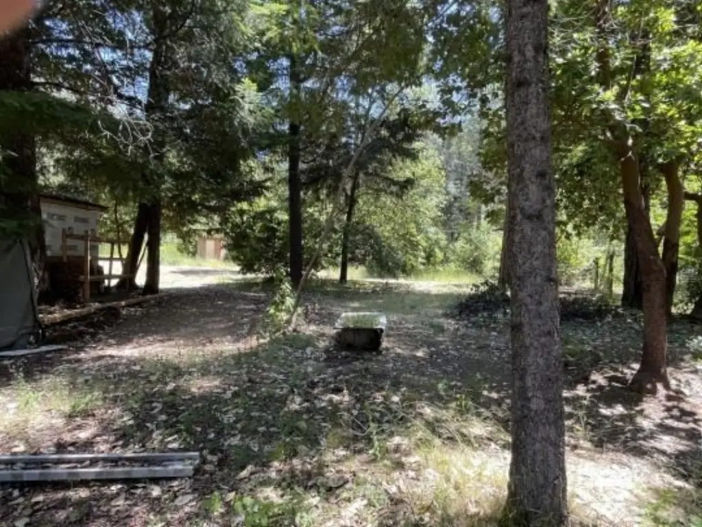 Picture 12