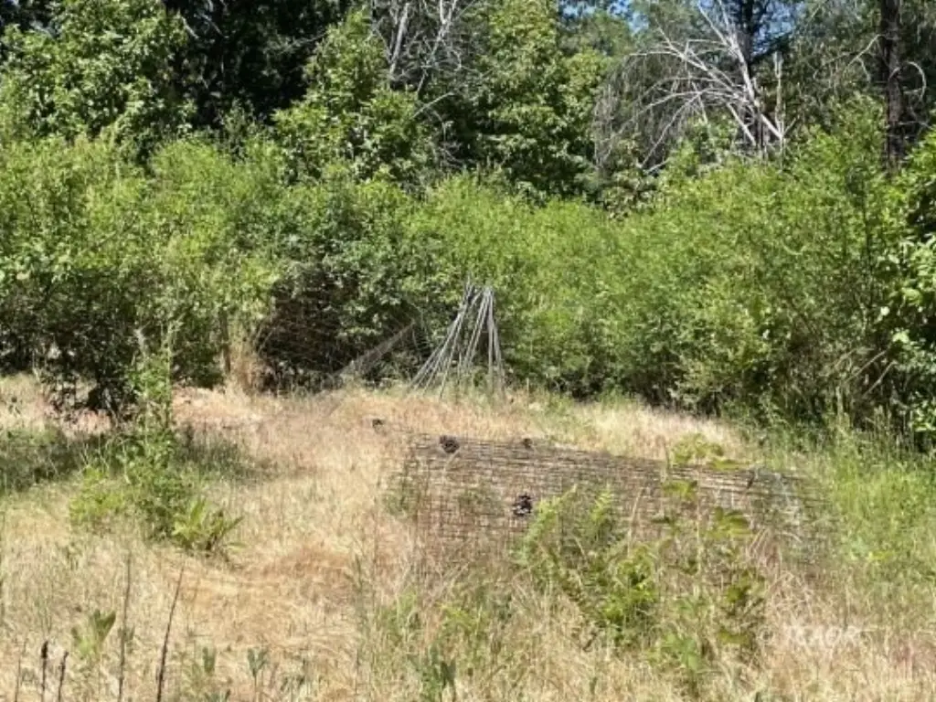 Picture 23