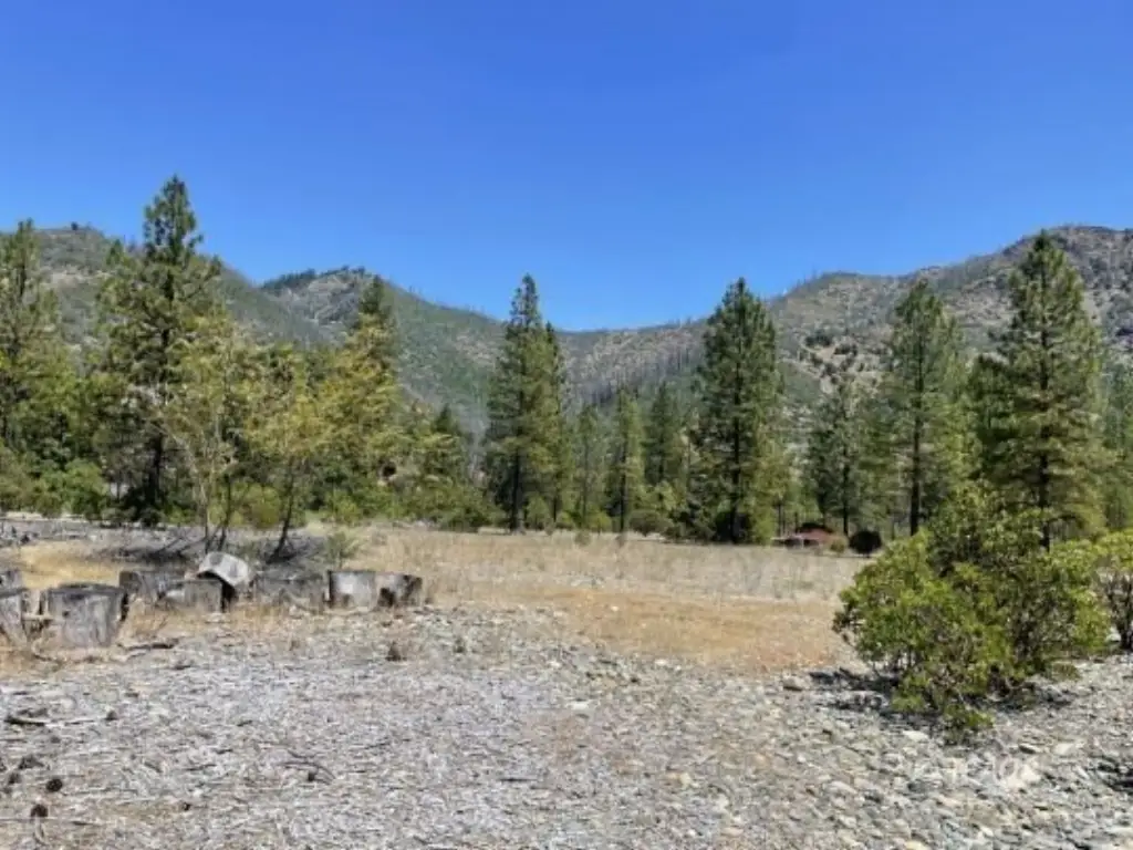 Picture 31