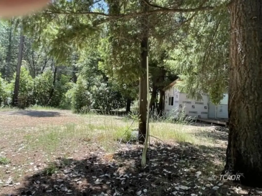 Picture 25