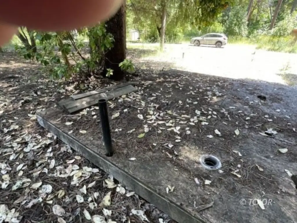 Picture 17