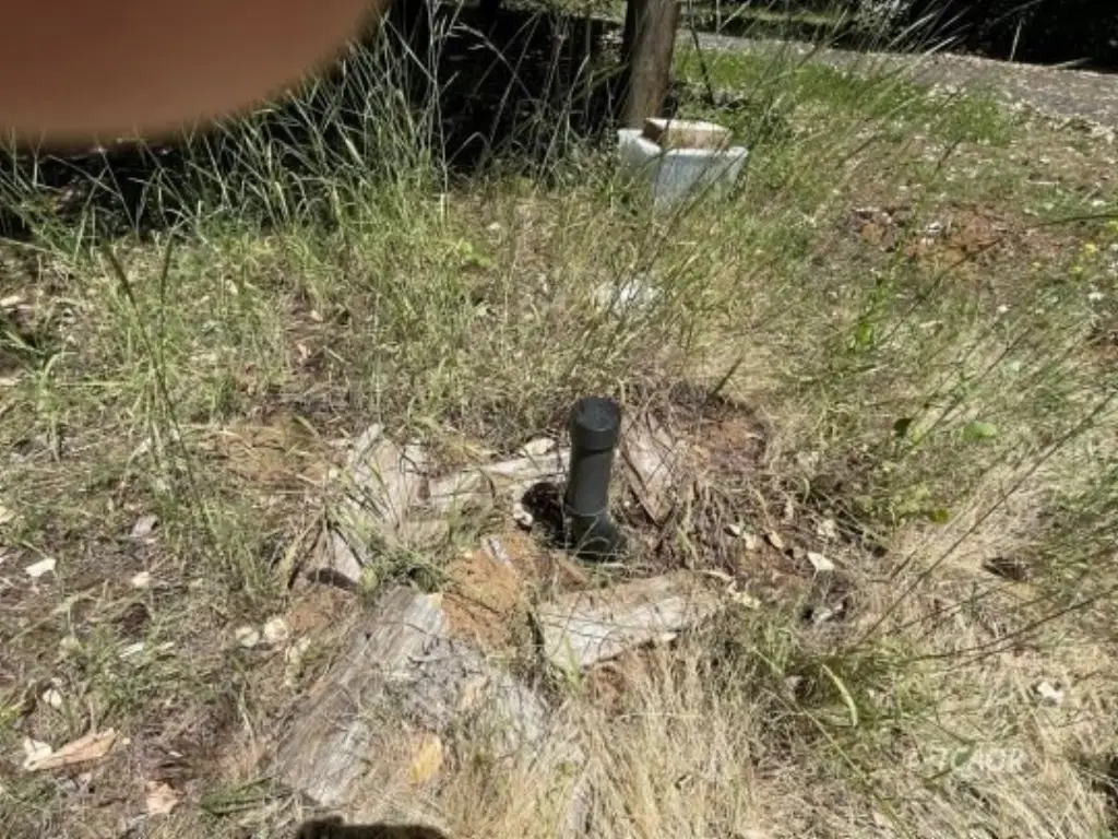 Picture 18