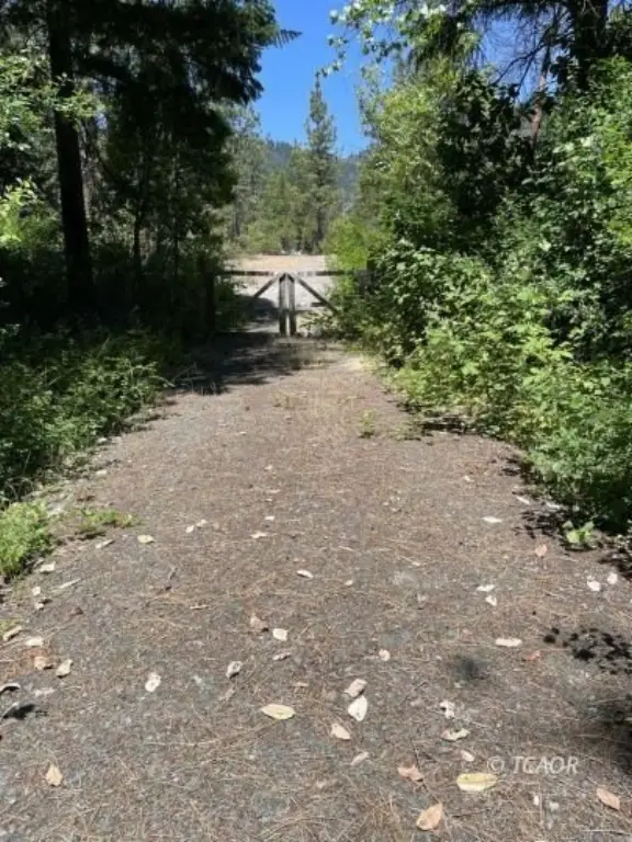 Picture 28