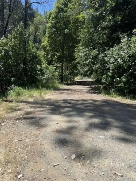 Picture 34