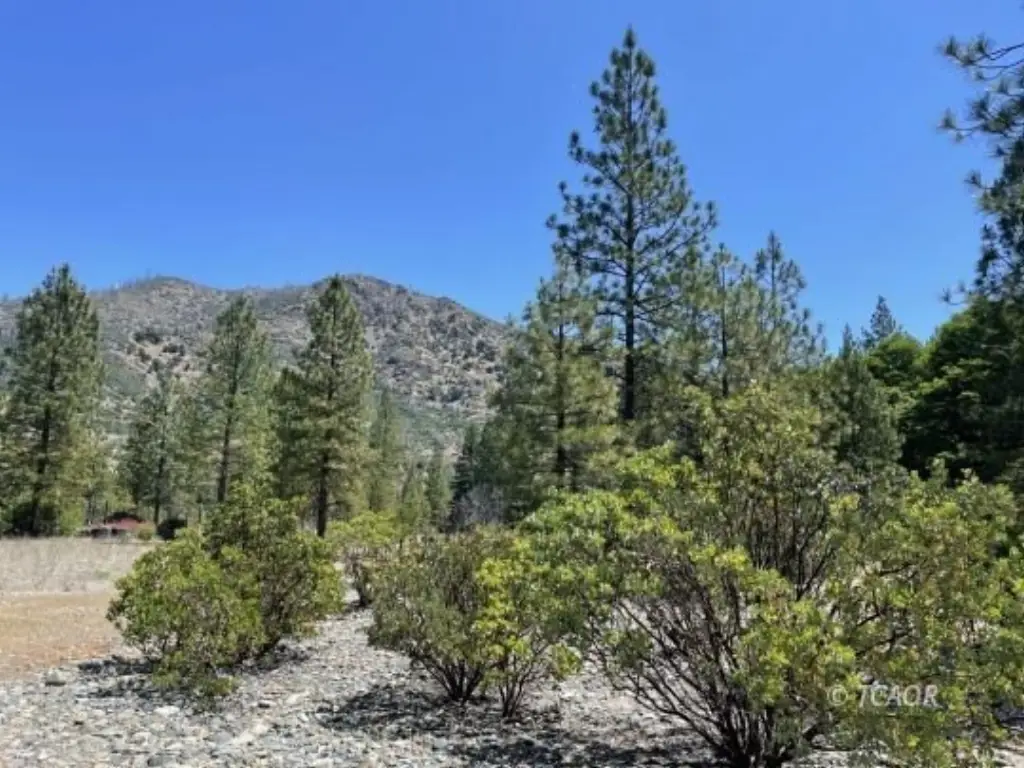 Picture 30