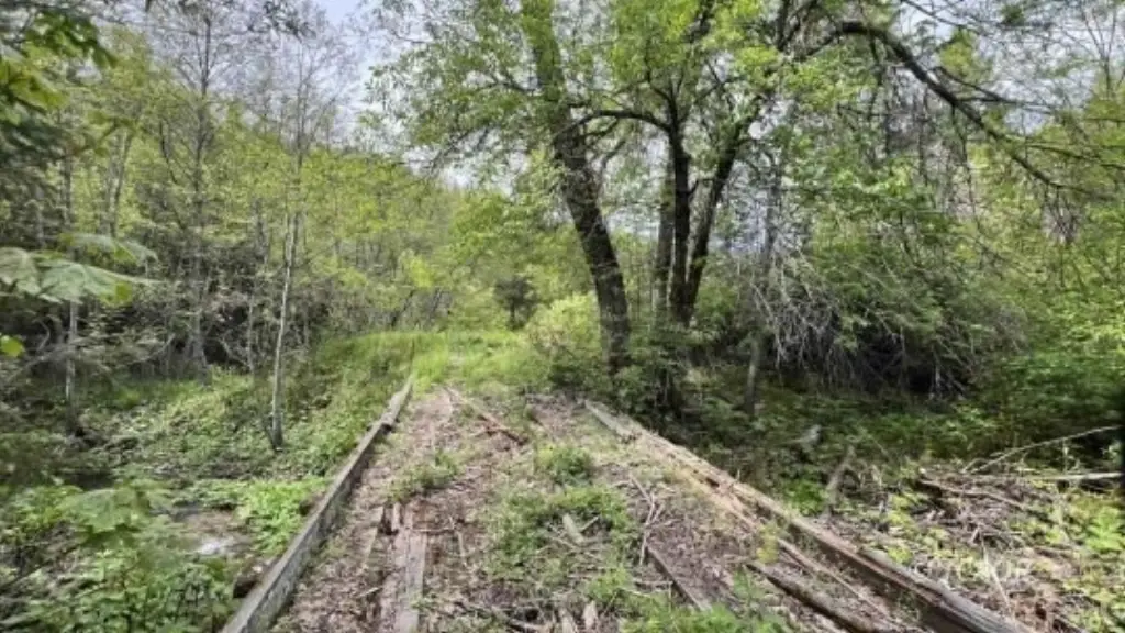 Picture 14