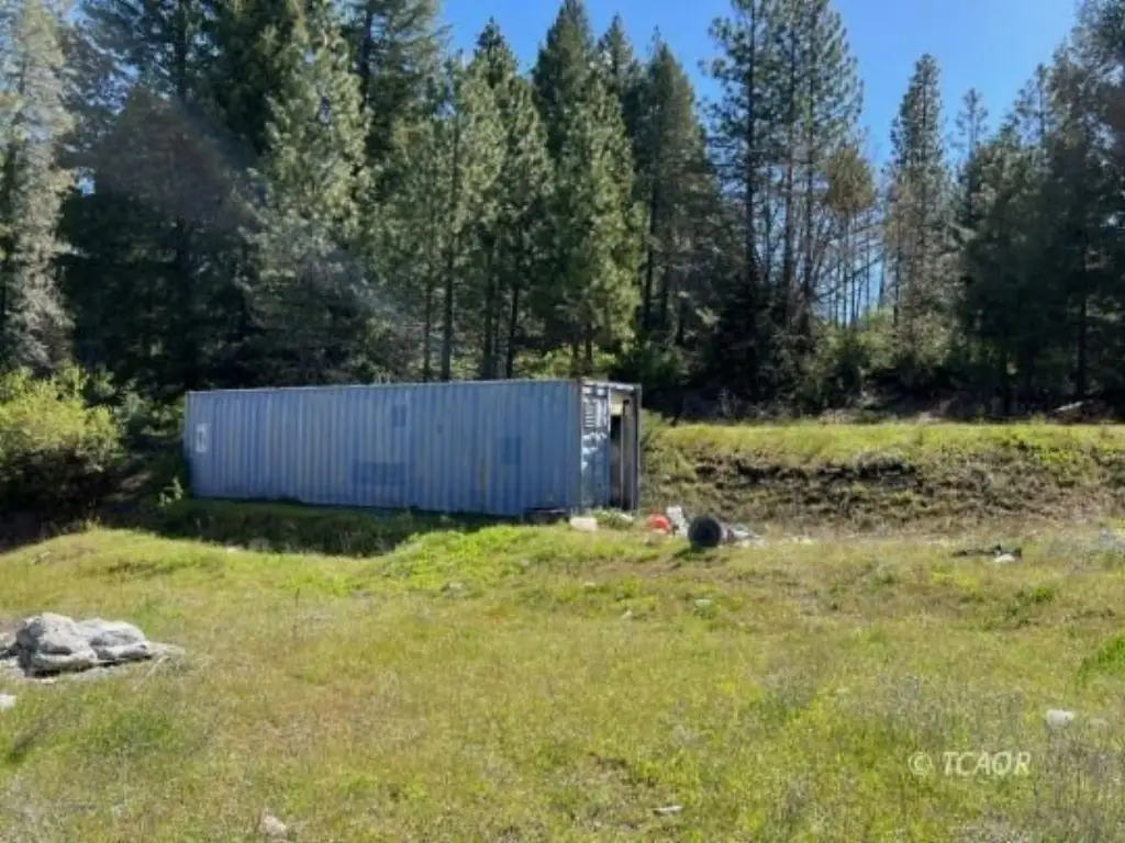 Picture 13